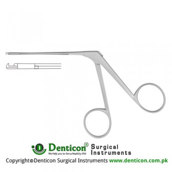 House-Dieter Malleus Nipper Right Cutting Stainless Steel, 8 cm - 3" Jaw Opening 1.3 mm